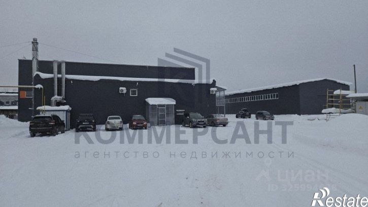 Производственное помещение улица Лермонтова, 17Е,  д. 17Е