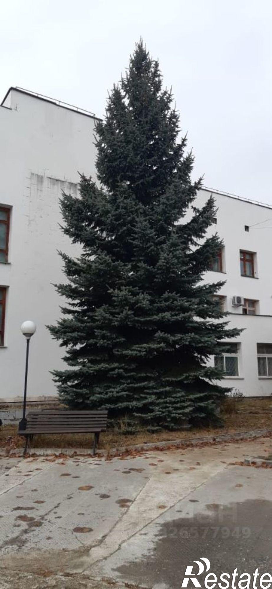Купить ОСЗ, отдельно стоящее здание за 99 479 500 рублей на ул Урицкого, 10Б