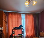 комната 27.7 кв м Учебный пер, 3А