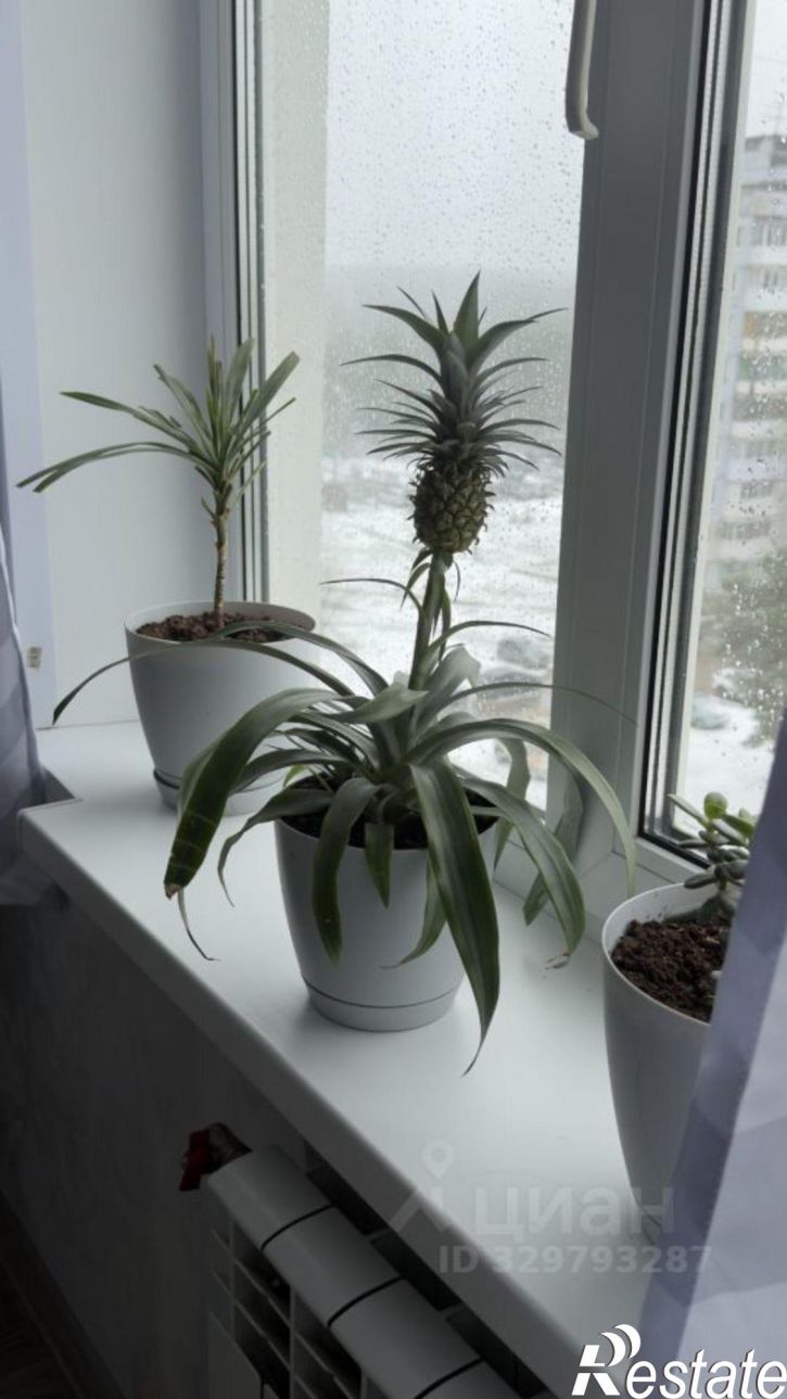 2-комн квартира бульвар Космонавтов, 15,  д. 15